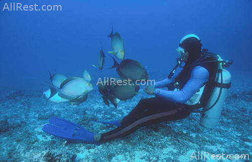 Beqa Lagoon Resort 15